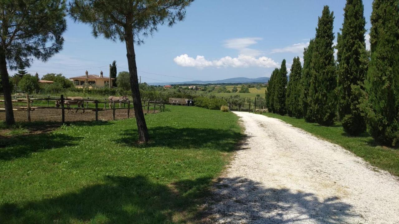 Agriturismo Casale San Benedetto Ceri Extérieur photo
